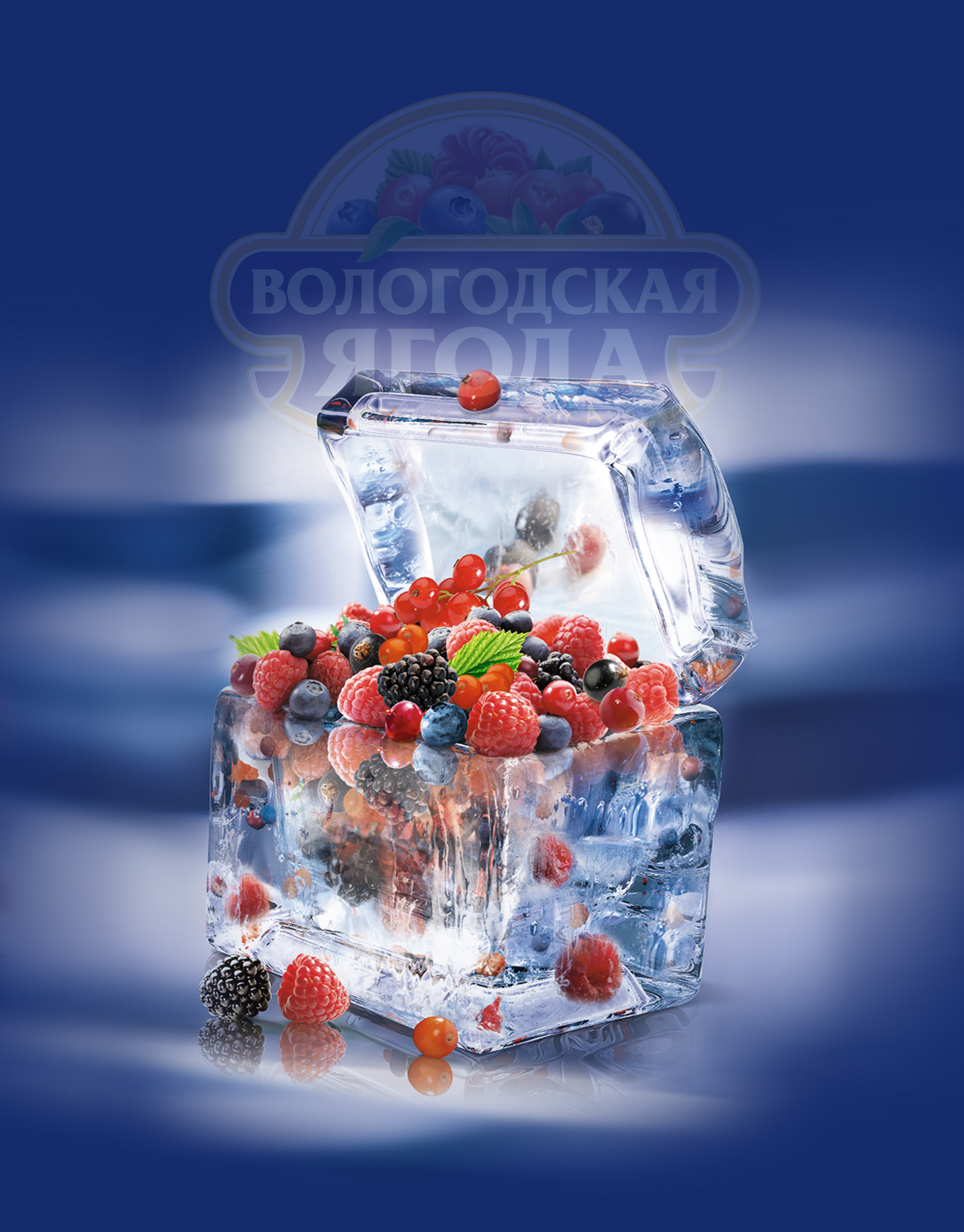 https://soldis.ru/wp-content/uploads/2024/03/Top-banner_Vologodskaya_yagoda_v1.jpg