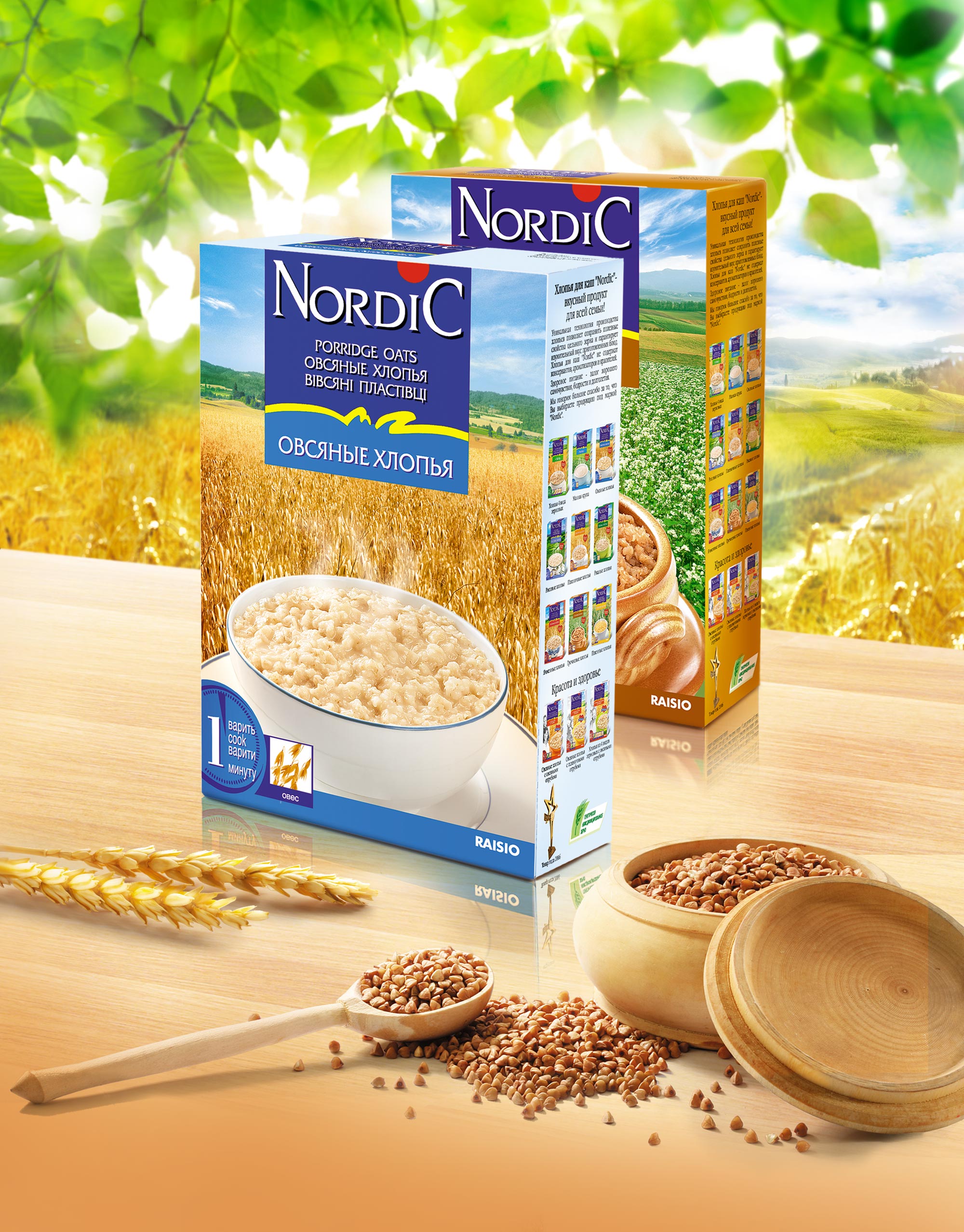https://soldis.ru/wp-content/uploads/2024/04/Nordic_banner_10.jpg